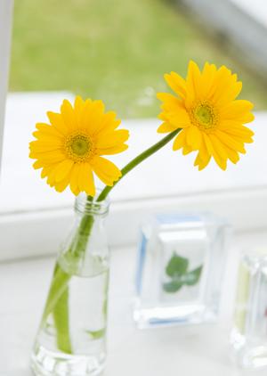 福岡市博多区の快適な暮らしをサポートするタカラスタンダード福岡ショールームのご案内