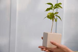 千葉県千葉市にあるタカラスタンダード千葉ショールームの魅力と詳細情報